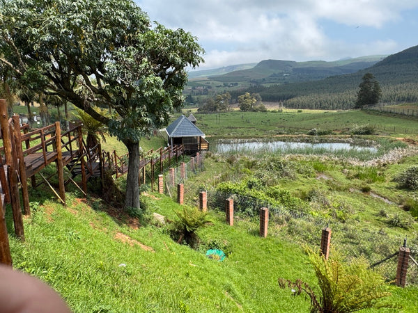 Property 3110805 - Image 26