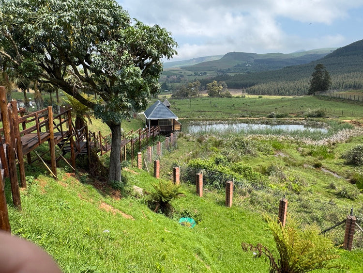 Property 3110805 - Image 26