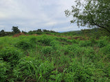 Property 3111372 - Image 2