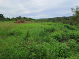 Property 3111372 - Image 3