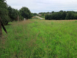 Property 3111372 - Image 4