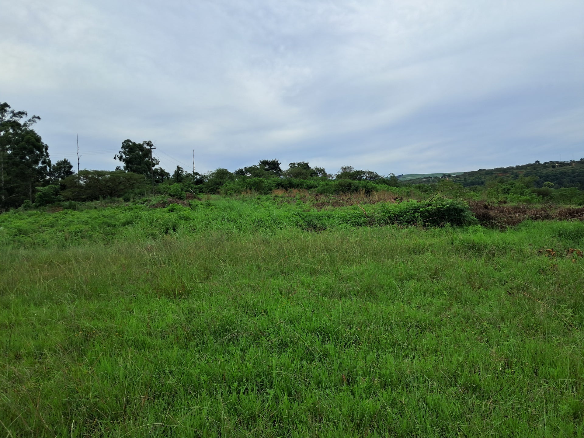 Property 3111372 - Image 5