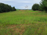 Property 3111372 - Image 9