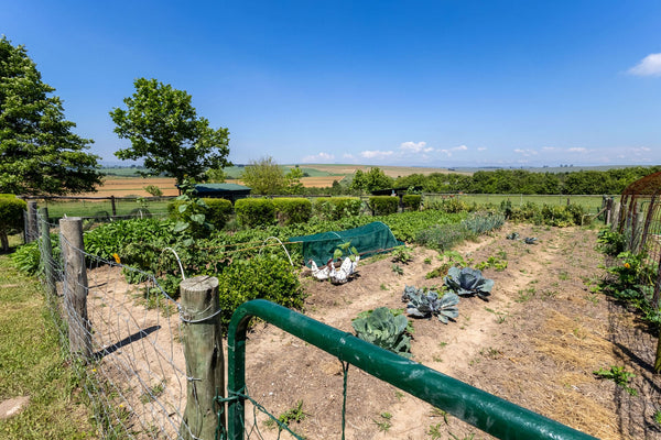 Property 3113780 - Image 26