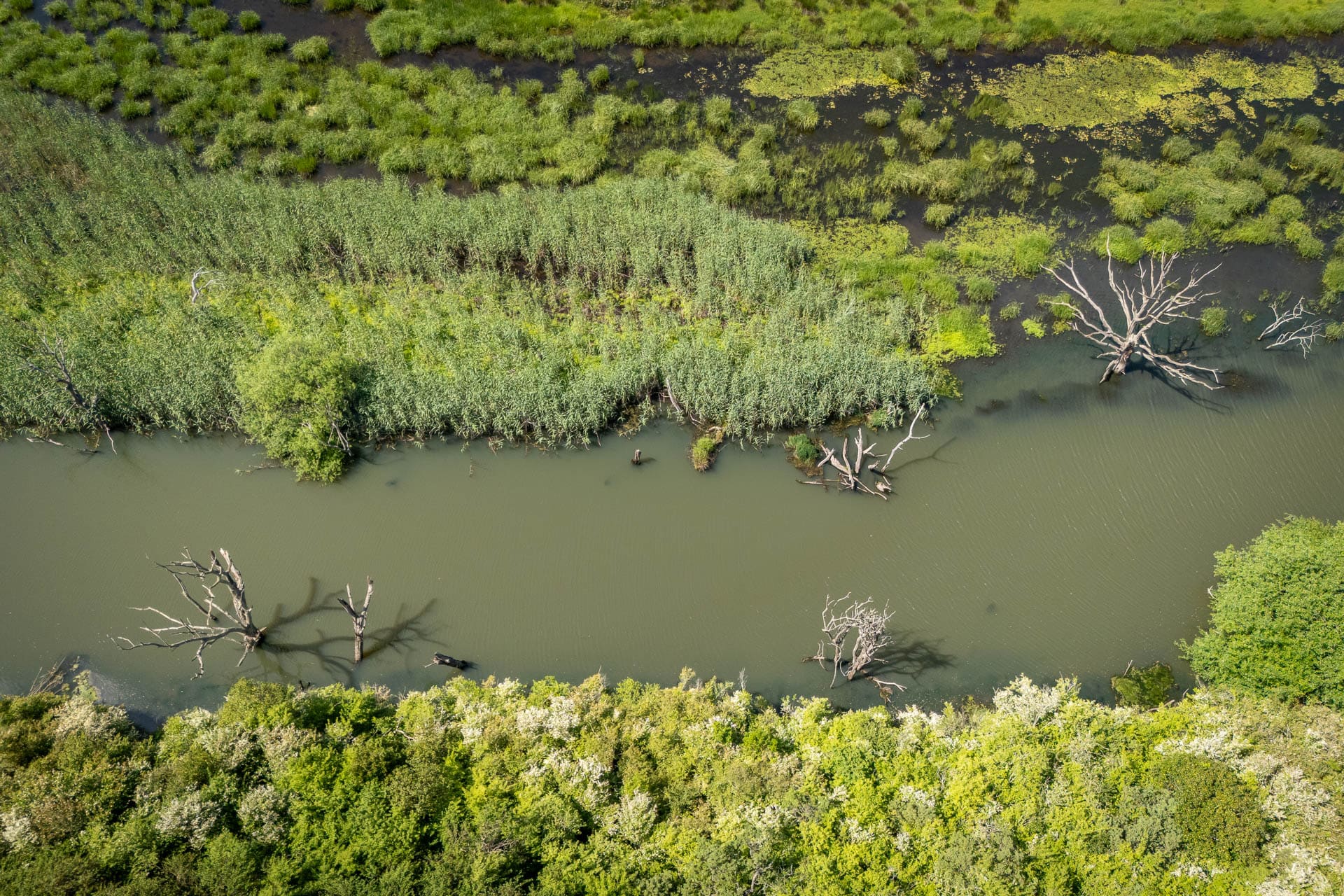 Property 3113780 - Image 85