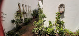 Property 3116614 - Image 21