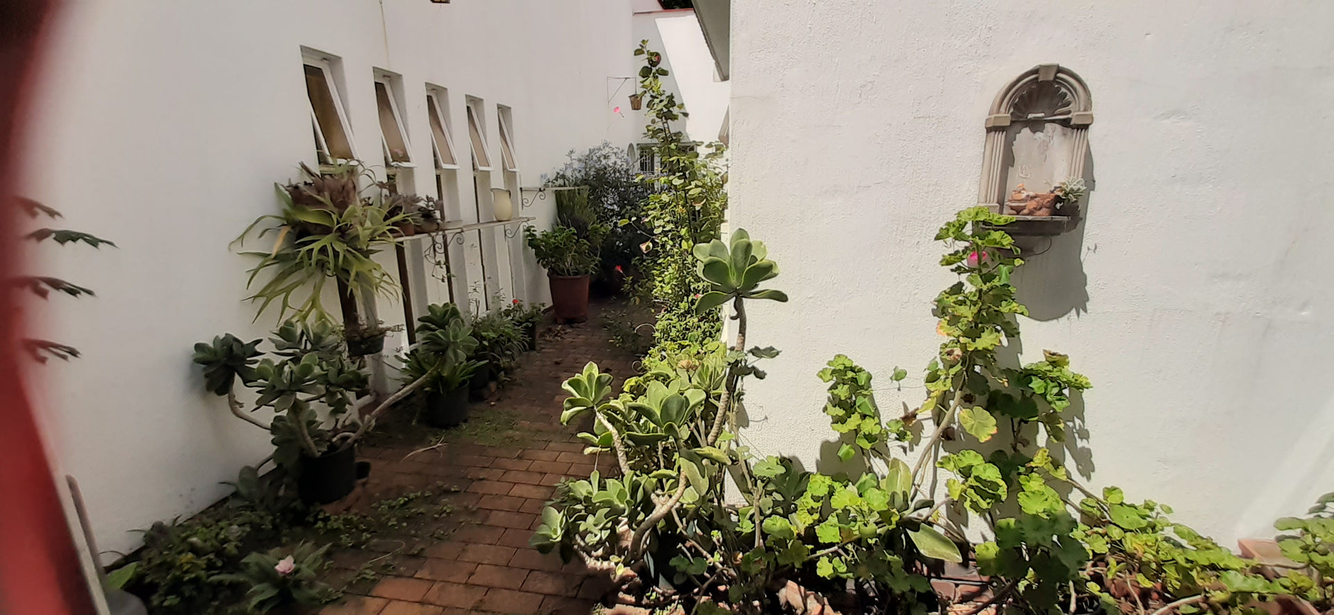 Property 3116614 - Image 21