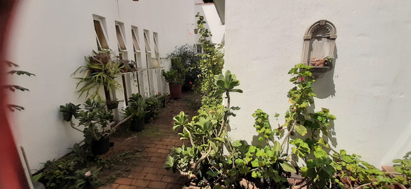 Property 3116614 - Image 21