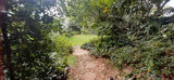 Property 3116614 - Image 27