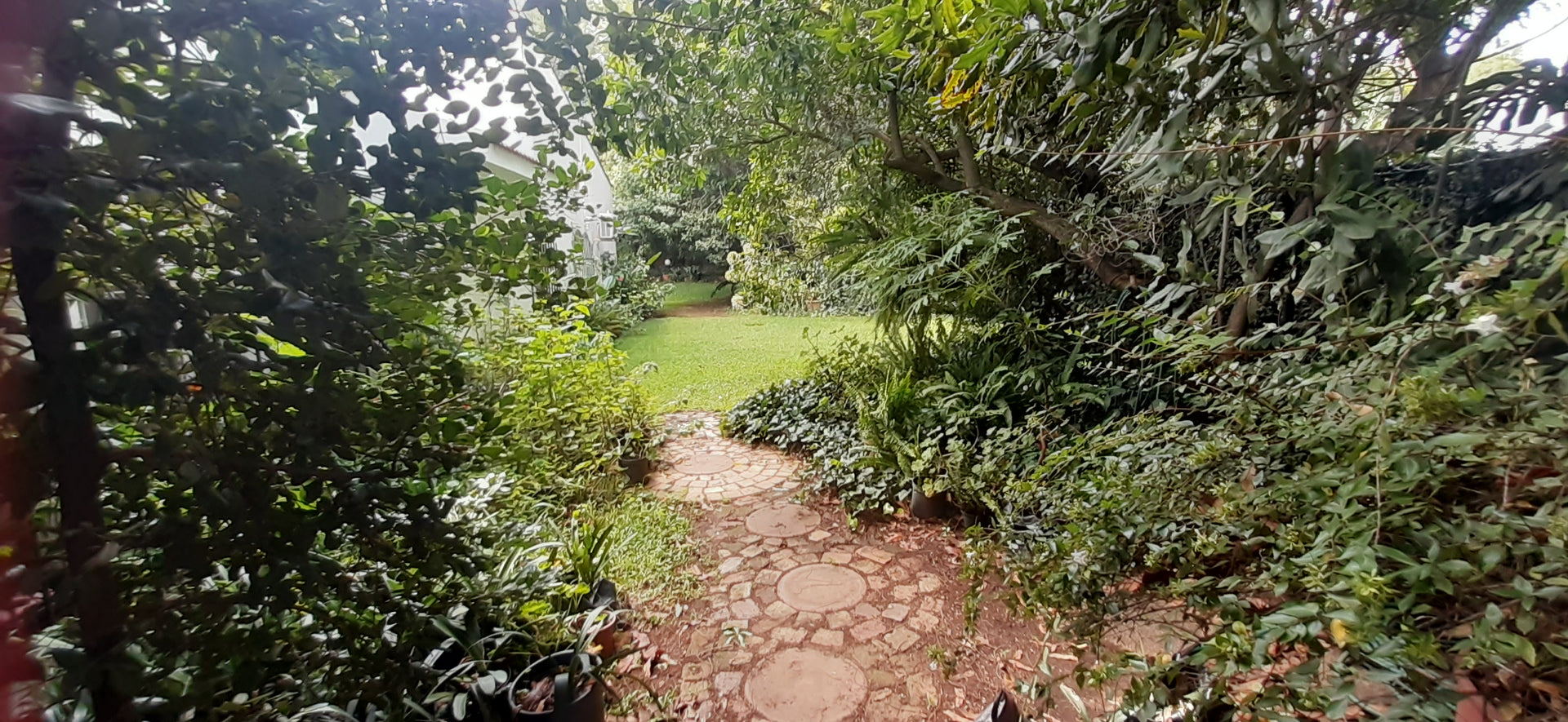 Property 3116614 - Image 27