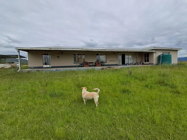 Property 3117181 - Image 10