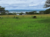 Property 3117181 - Image 11