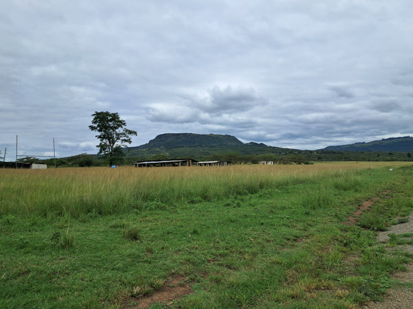 Property 3117181 - Image 21