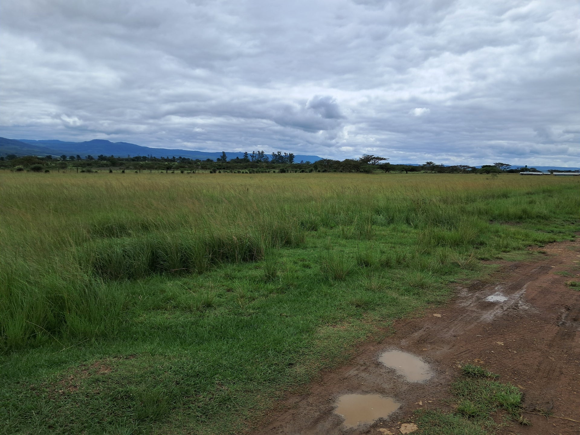 Property 3117181 - Image 3