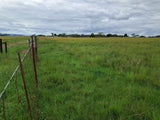 Property 3117181 - Image 5