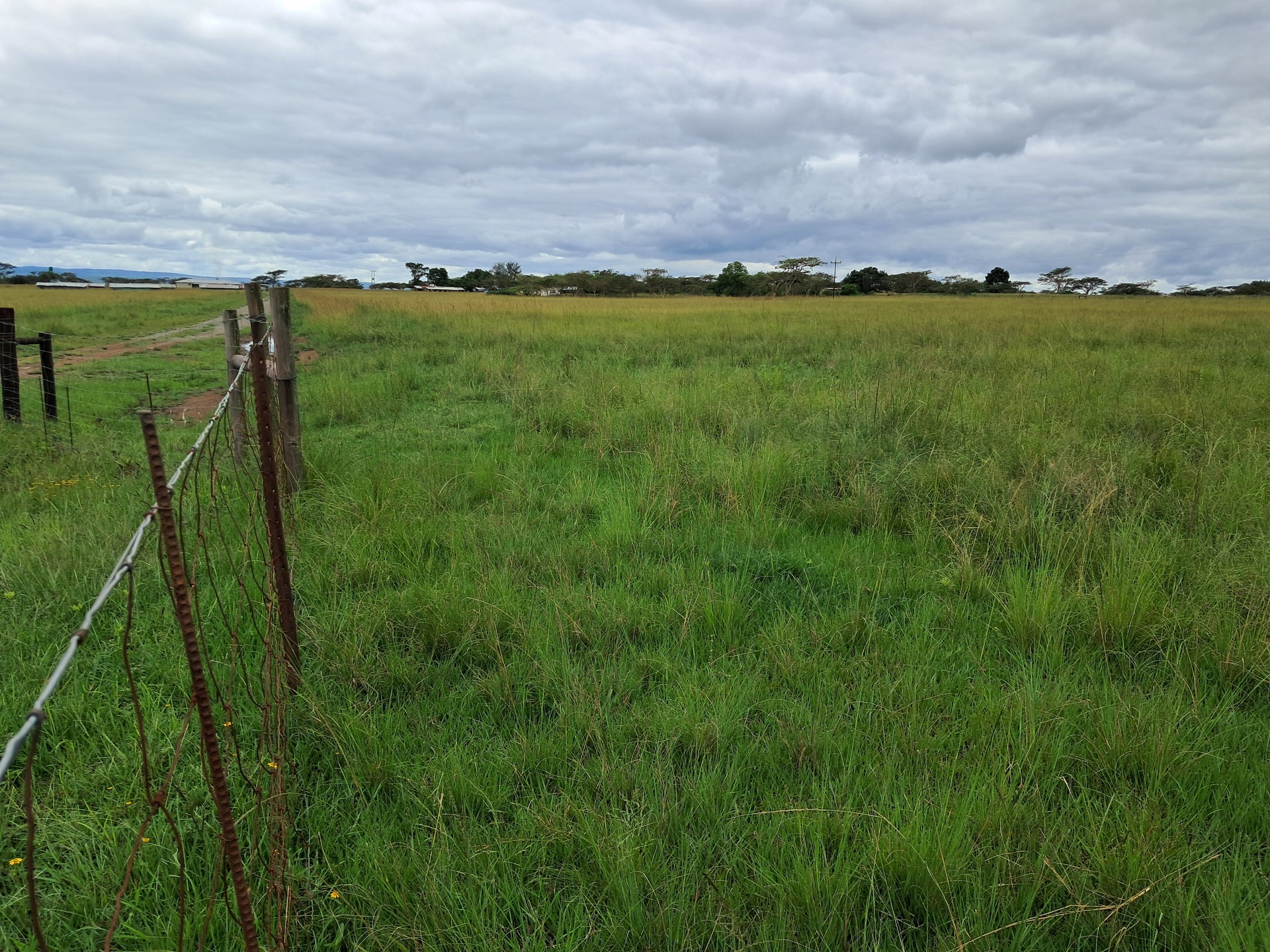 Property 3117181 - Image 5