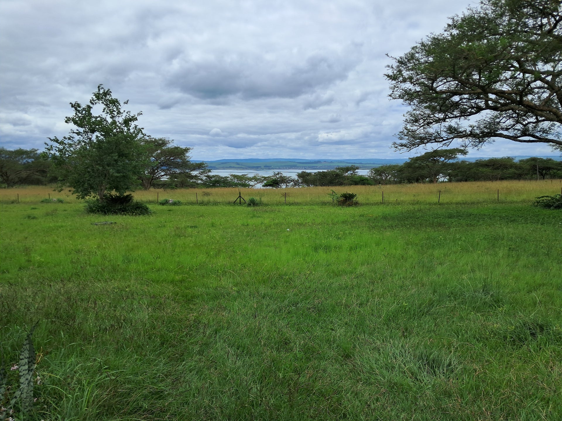Property 3117181 - Image 9