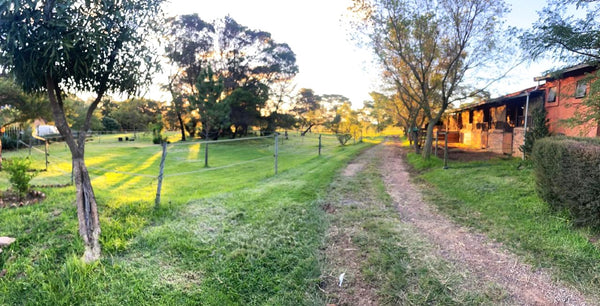 Property 3117511 - Image 21