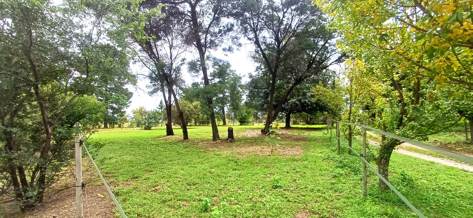 Property 3117511 - Image 31