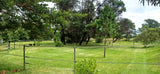 Property 3117511 - Image 32