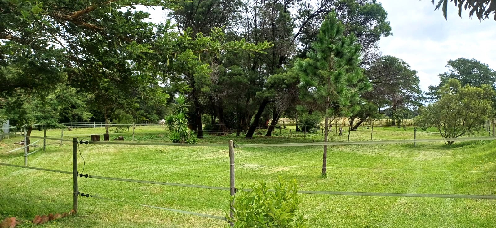 Property 3117511 - Image 32