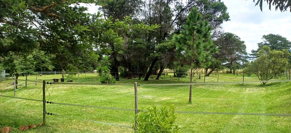 Property 3117511 - Image 32