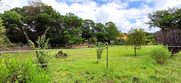 Property 3117511 - Image 34