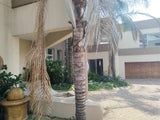 Property 3119922 - Image 58