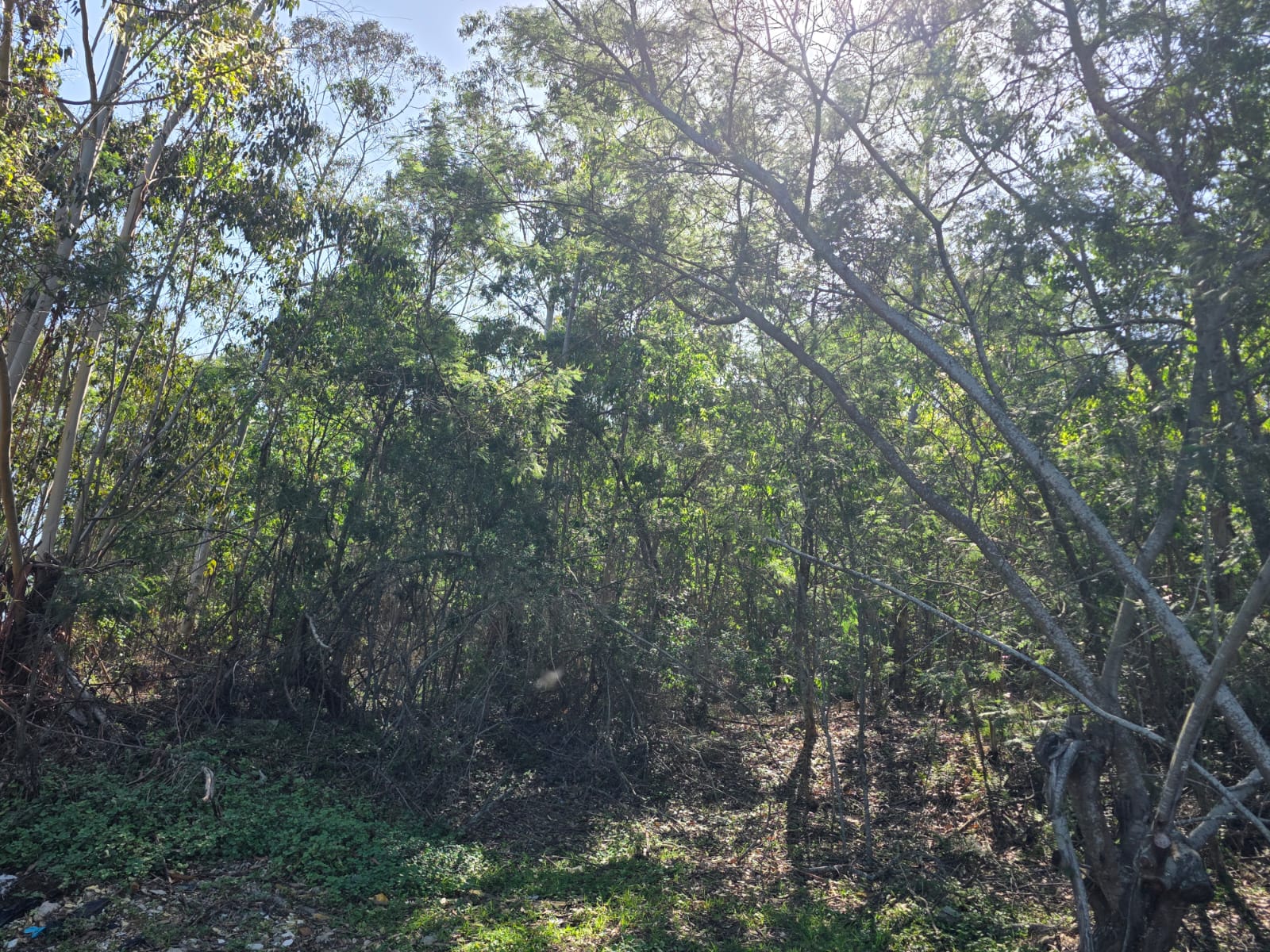 Property 3119954 - Image 4