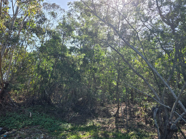Property 3119954 - Image 4