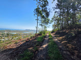 Property 3120326 - Image 4