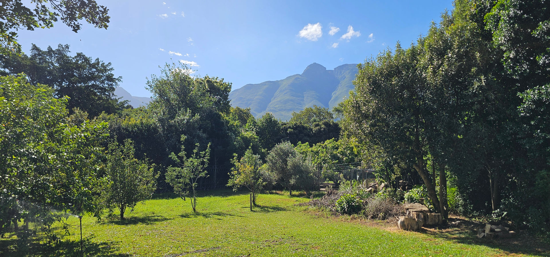 Property 3121474 - Image 28