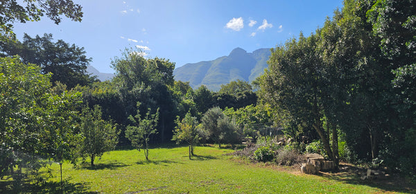 Property 3121474 - Image 28