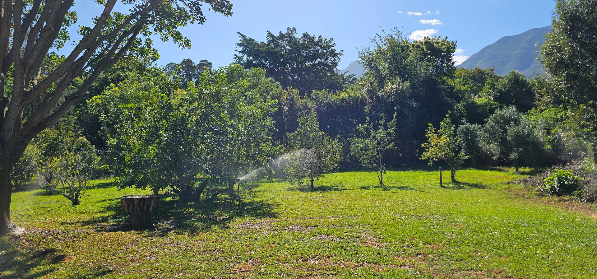 Property 3121474 - Image 29