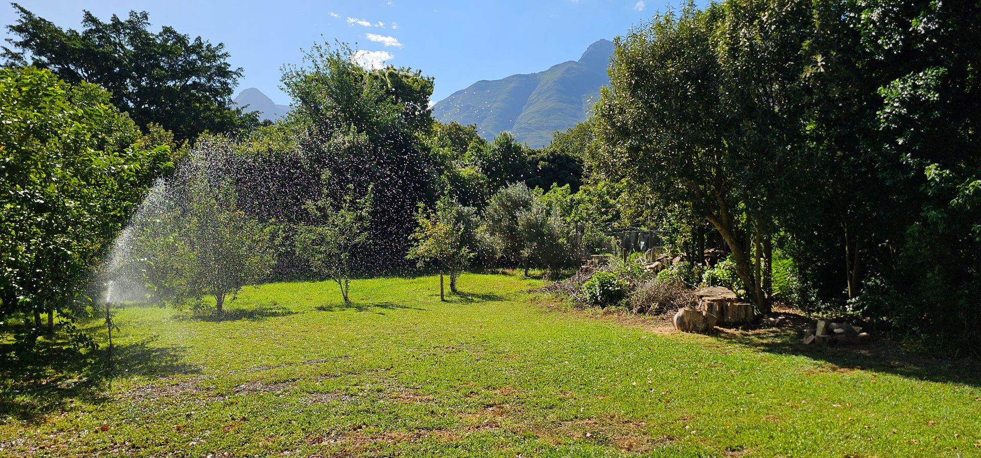 Property 3121474 - Image 31