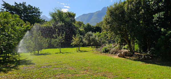 Property 3121474 - Image 31