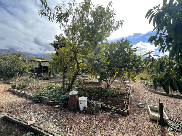 Property 3121564 - Image 23