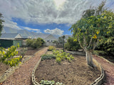 Property 3121564 - Image 24