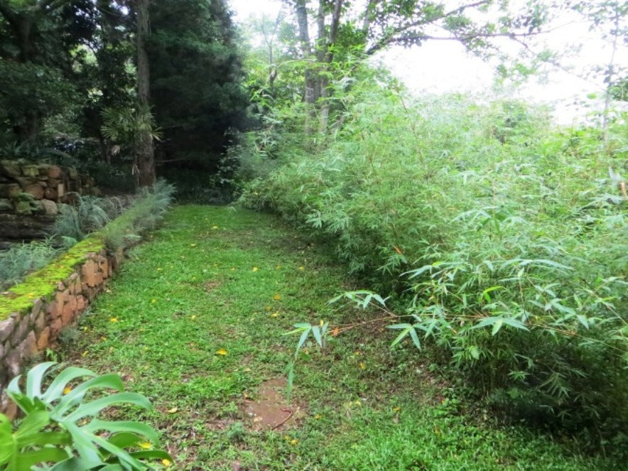 Property 3123610 - Image 28