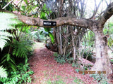Property 3123610 - Image 30