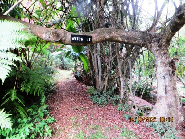 Property 3123610 - Image 30