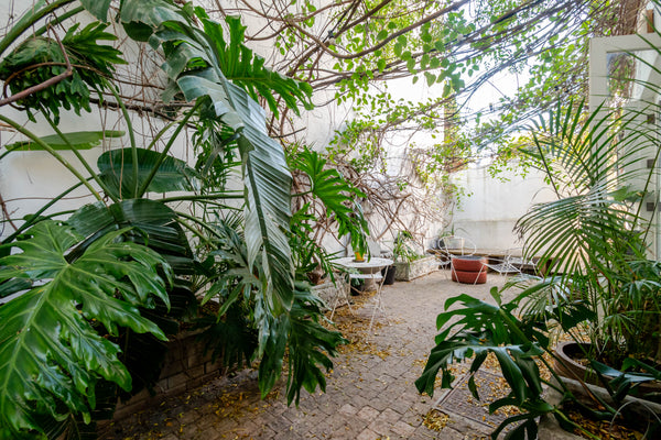 Property 3123641 - Image 26
