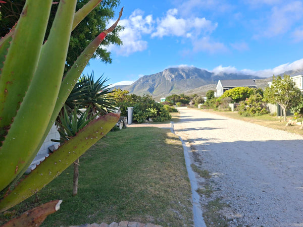 Property 3124351 - Image 9