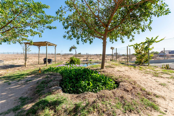 Property 3124961 - Image 45