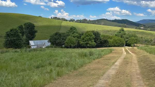 Property 3125334 - Image 22