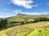 Property 3127950 - Image 3