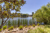Property 3127976 - Image 14