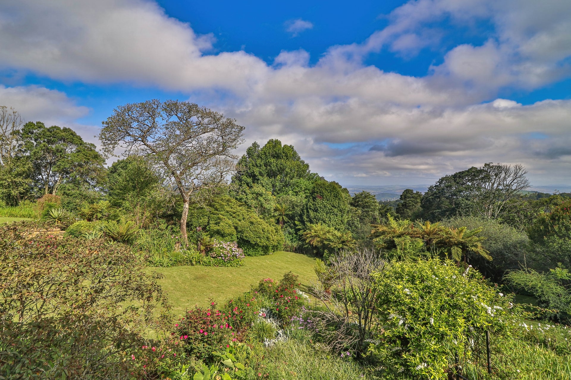 Property 3129147 - Image 42