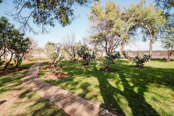 Property 3129196 - Image 21