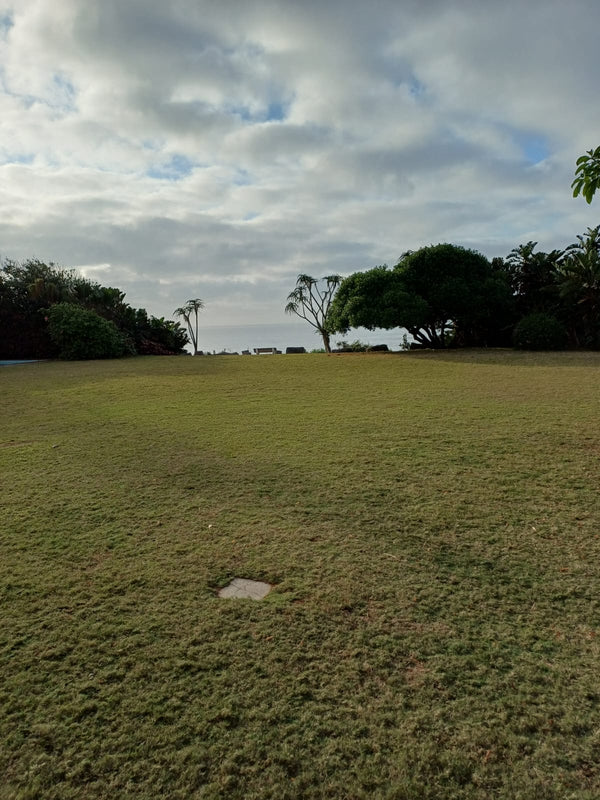 Property 3129995 - Image 31